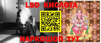 гашик Бузулук