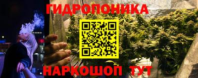 гашик Бузулук